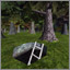 Render 11